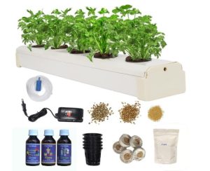 Hydroponic Gardening Equipment