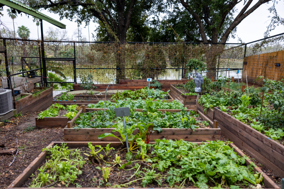 Creative Vegetable Gardening Ideas for Every Space: From Raised Beds to Balcony Gardens