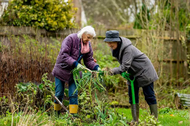 How to Plant a Garden