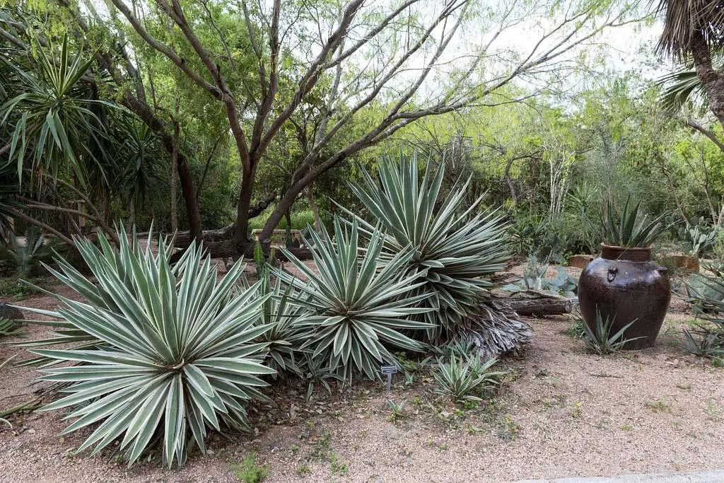 Is the Tucson Botanical Gardens a nonprofit organization?