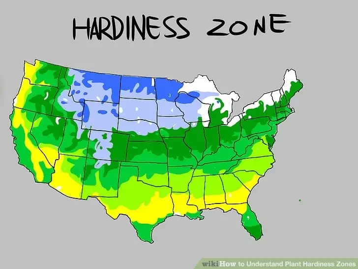 What Zone Am I in for Planting? A Comprehensive Guide to Understanding Your Planting Zone